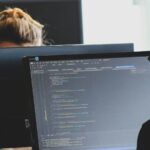 Programadores trabajan frente a monitores con código, en referencia a la contratación de juniors en Anthropic