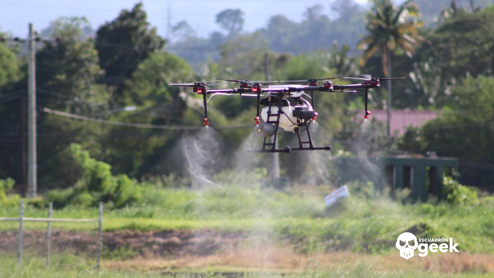 Dron Agrícola Fumigando Un Cultivo, Imagen De Referencia Sobre El Levantamiento De La Prohibición De Drones En Venezuela