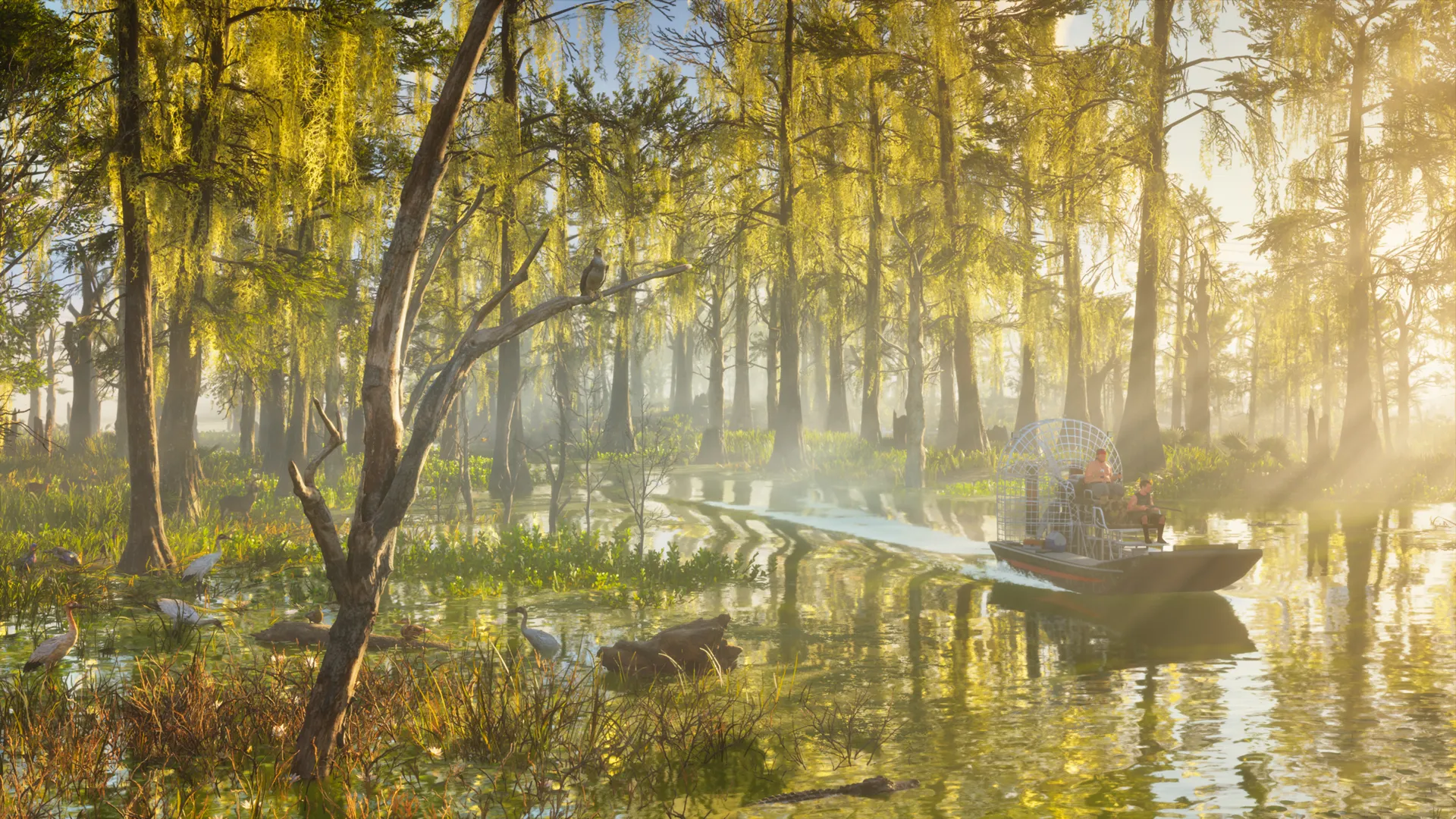 Lancha Cruzando Los Pantanos Boscosos De Grassrivers En Gta Vi